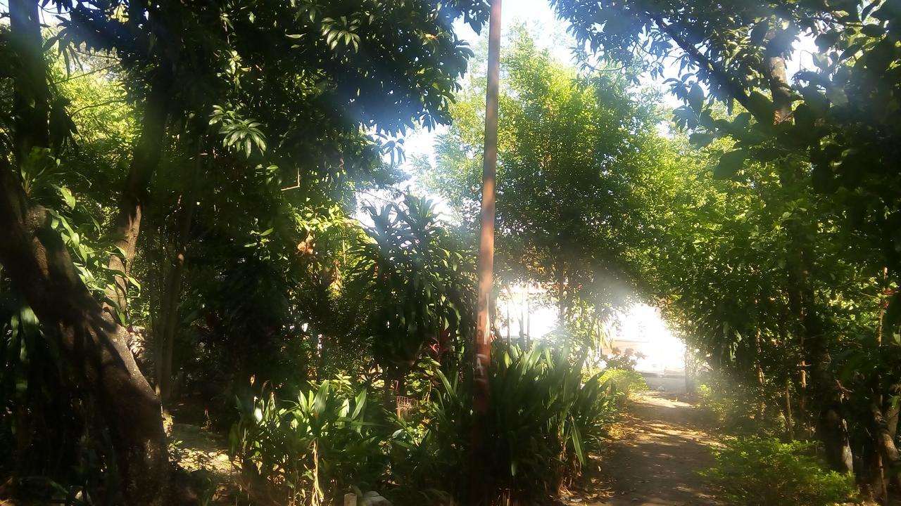 Backpackers And Travellers Hostel Νεΐβα Εξωτερικό φωτογραφία
